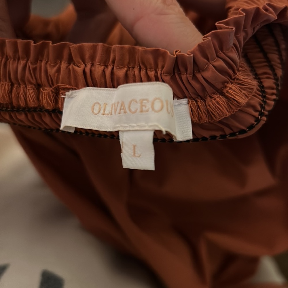 Olivaceous Burnt Orange Casual Dress - Picture 5 of 5